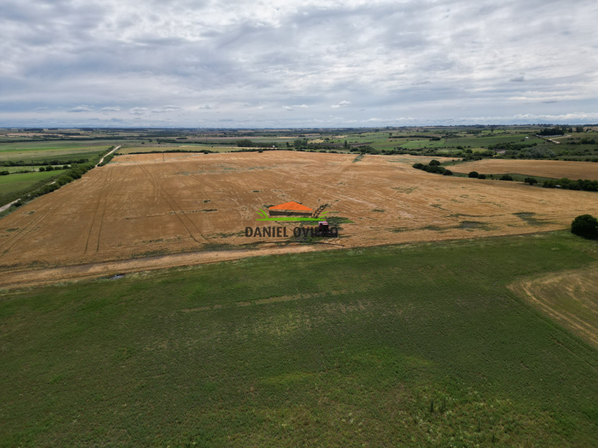 Campo Ref.144 - Campo agrícola - ganadero de 36 hás en venta, Ecilda Paullier
