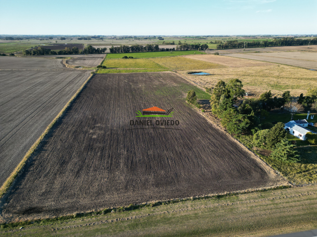 Campo Ref.209 - Excepcional ubicación en ruta 1 y campo productivo donde nadie vende.