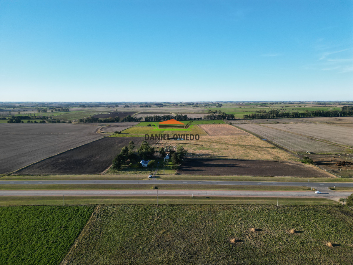 Campo Ref.209 - Excepcional ubicación en ruta 1 y campo productivo donde nadie vende.