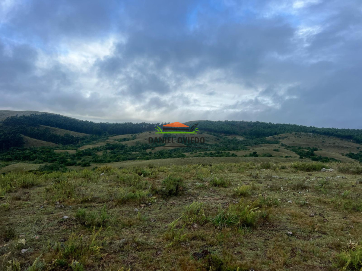 Campo Ref.350/Oportunidad-buen-campo-ganadero-en-venta-con-excelentes-vistas. - Oportunidad buen campo ganadero en venta con excelentes vistas.