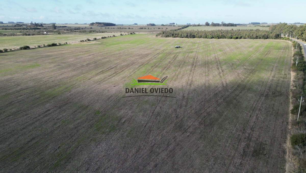 Campo Ref.235/Campo-agrícola-de-23.8-has-próximo-a-balneario-Artilleros. - Campo agrícola de 23.8 has próximo a balneario Artilleros.