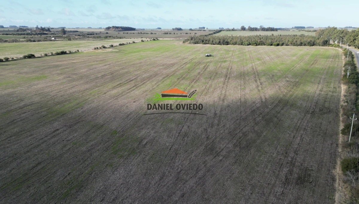 Campo Ref.235/Campo-agr - Campo agrícola de 23.8 has próximo a balneario Artilleros.