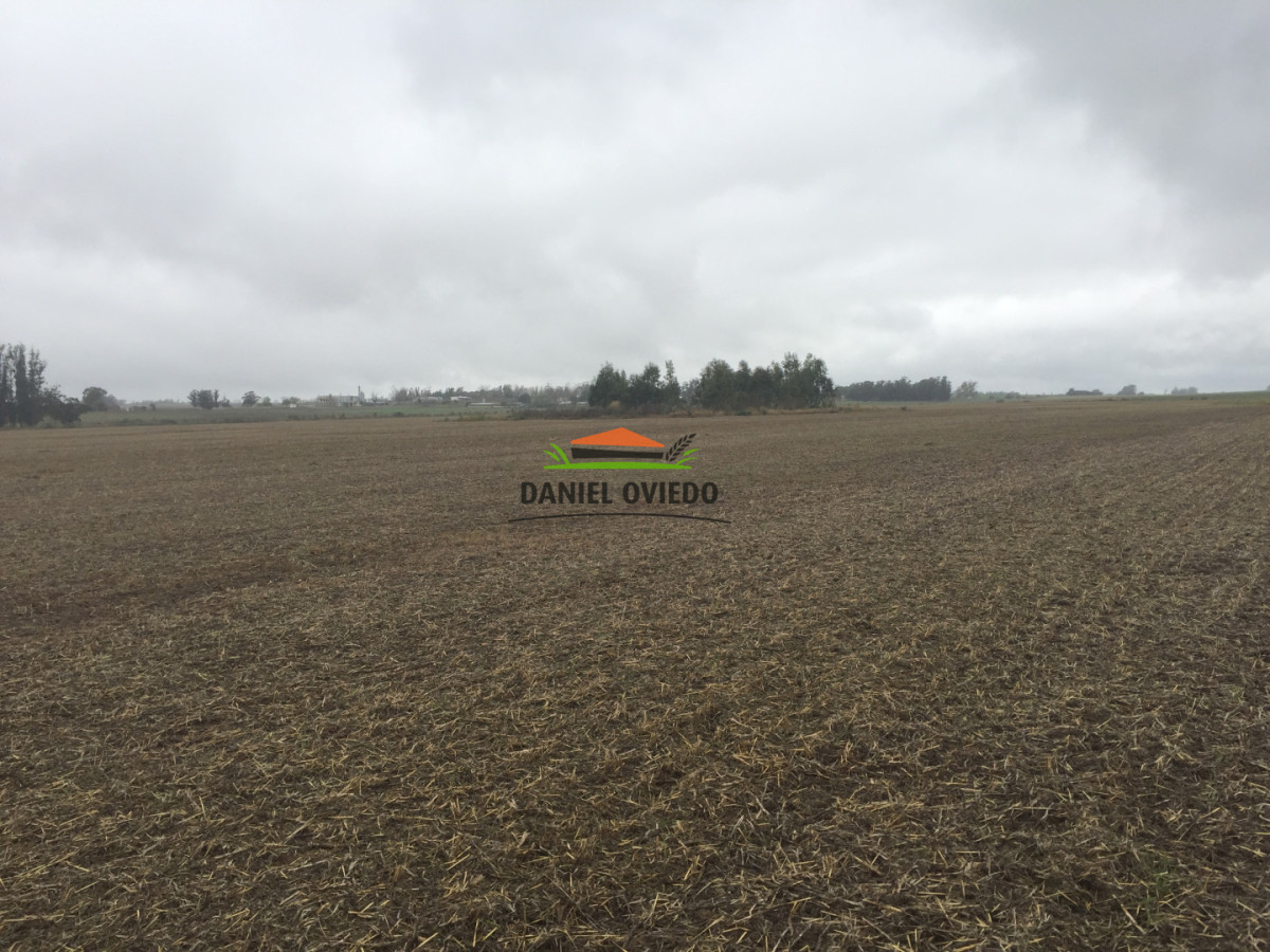Campo Ref.417/Oportunidad-de-inversi - Oportunidad de inversión, campo agrícola-ganadero en venta en Soriano.