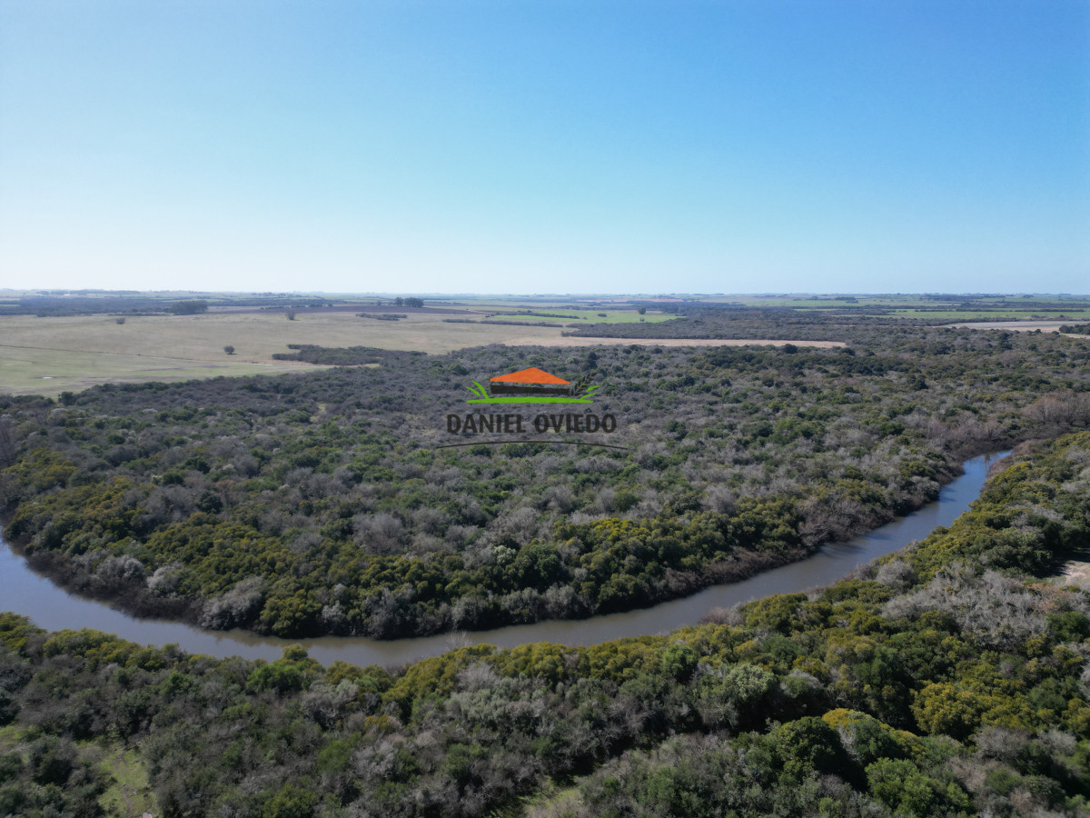 Campo Ref.243/Campo-agrícola-ganadero-en-venta-con-costa-de-arroyo. - Campo agrícola ganadero en venta con costa de arroyo.