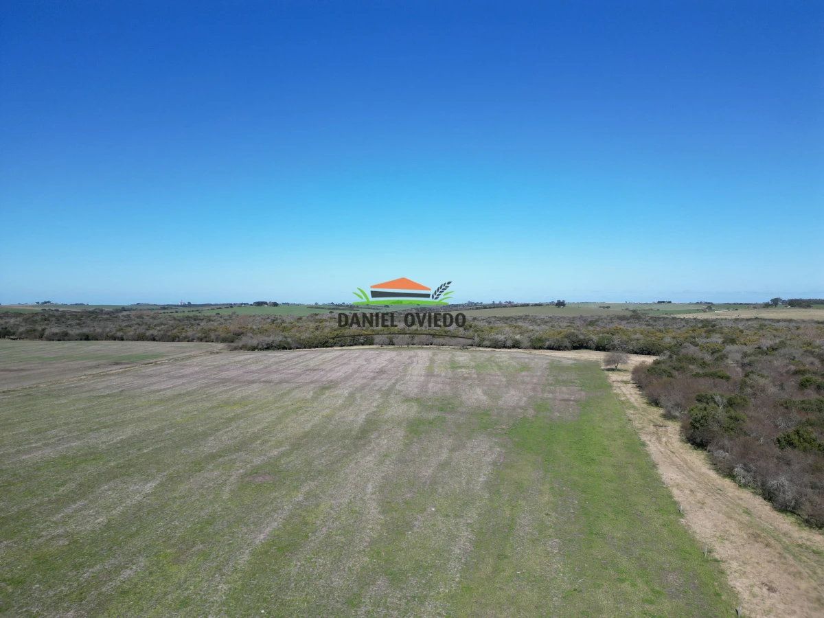 Campo Ref.243/Campo-agrícola-ganadero-en-venta-con-costa-de-arroyo. - Campo agrícola ganadero en venta con costa de arroyo.