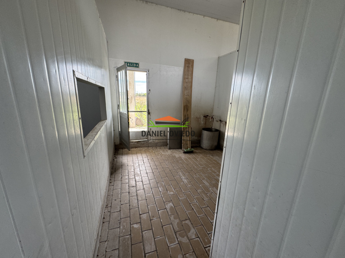 Campo Ref.377/Establecimiento-con-f - Establecimiento con fábrica y 33 Hás de campo - Instalaciones y equipamiento incluidos | Colonia