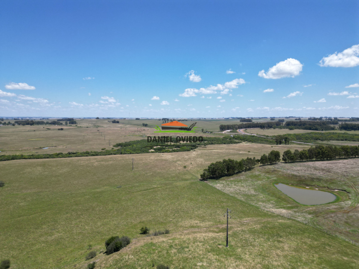 Campo Ref.357/Muy-buen-establecimiento-completo-en-venta-en-ruta-26-proximo-a-Melo. - Muy buen establecimiento completo en venta en ruta 26 proximo a Melo.