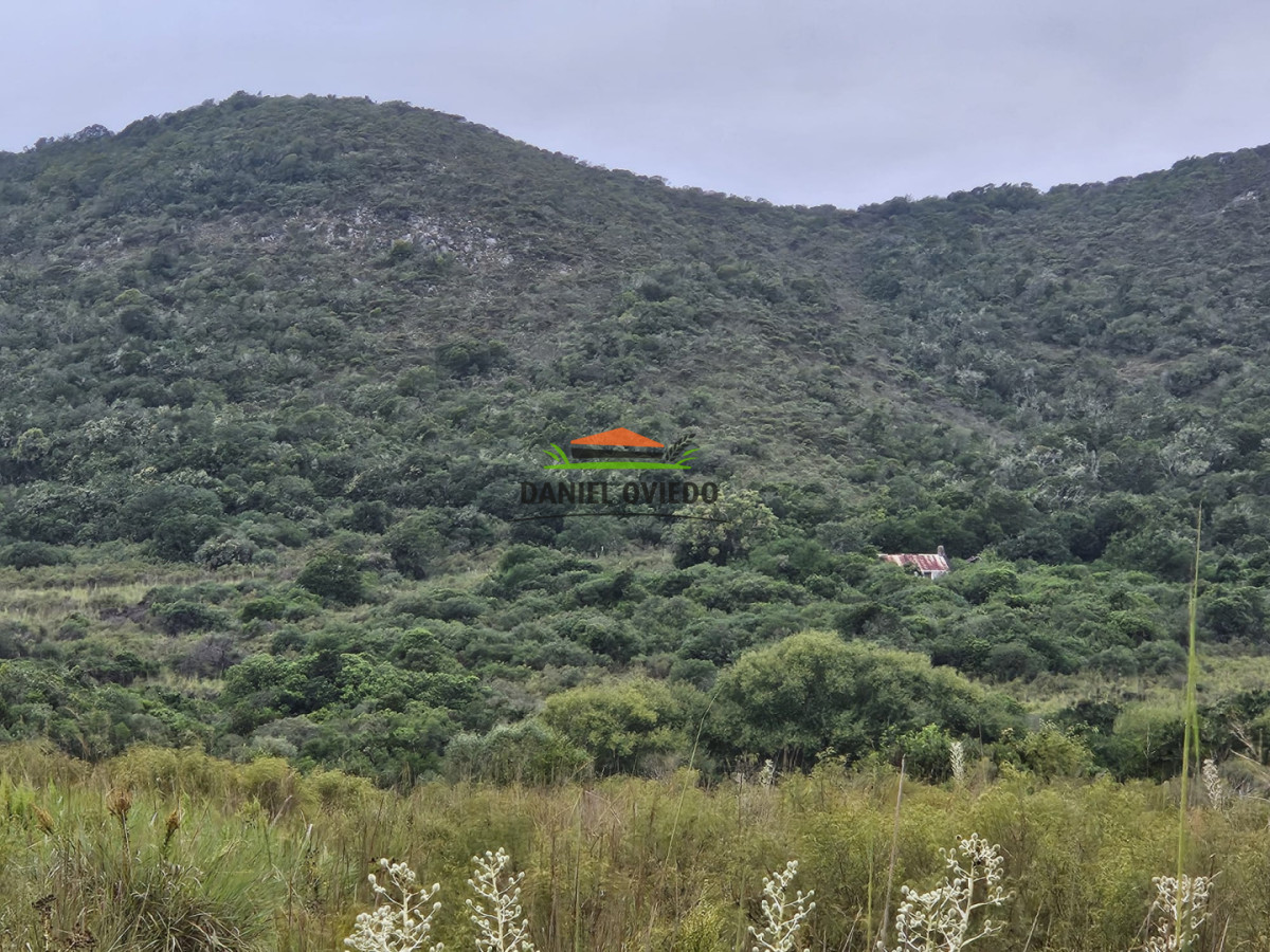 Campo Ref.350/Oportunidad-buen-campo-ganadero-en-venta-con-excelentes-vistas. - Oportunidad buen campo ganadero en venta con excelentes vistas.