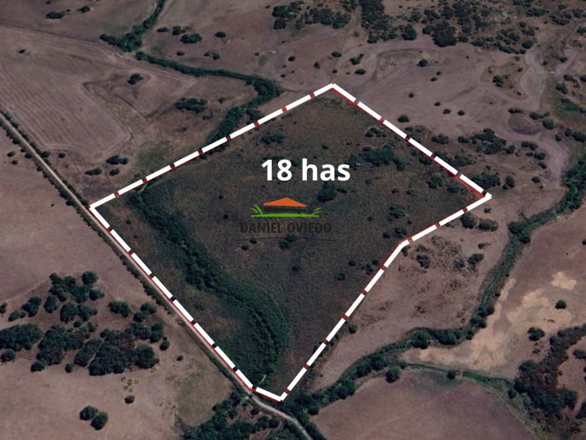 Campo Ref.302/Campo-de-18-hect - Campo de 18 hectáreas descansado con aguadas naturales y suelo fértil 5.02b