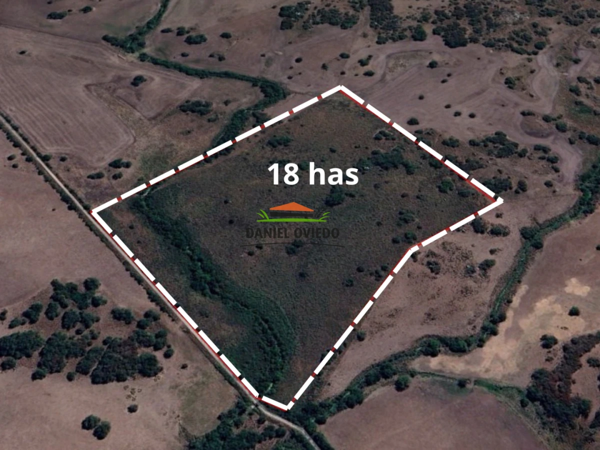 Campo Ref.302/Campo-de-18-hect - Campo de 18 hectáreas descansado con aguadas naturales y suelo fértil 5.02b