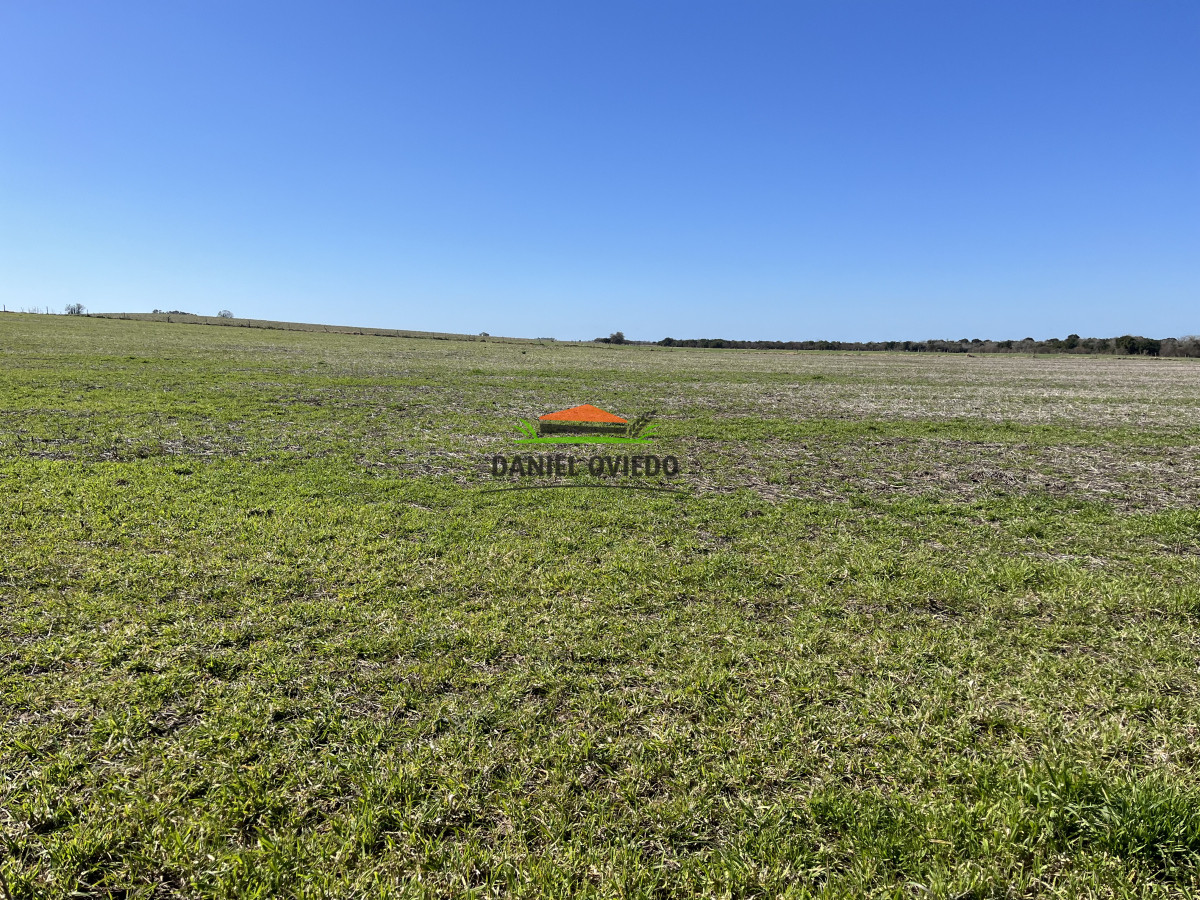 Campo Ref.243/Campo-agrícola-ganadero-en-venta-con-costa-de-arroyo. - Campo agrícola ganadero en venta con costa de arroyo.