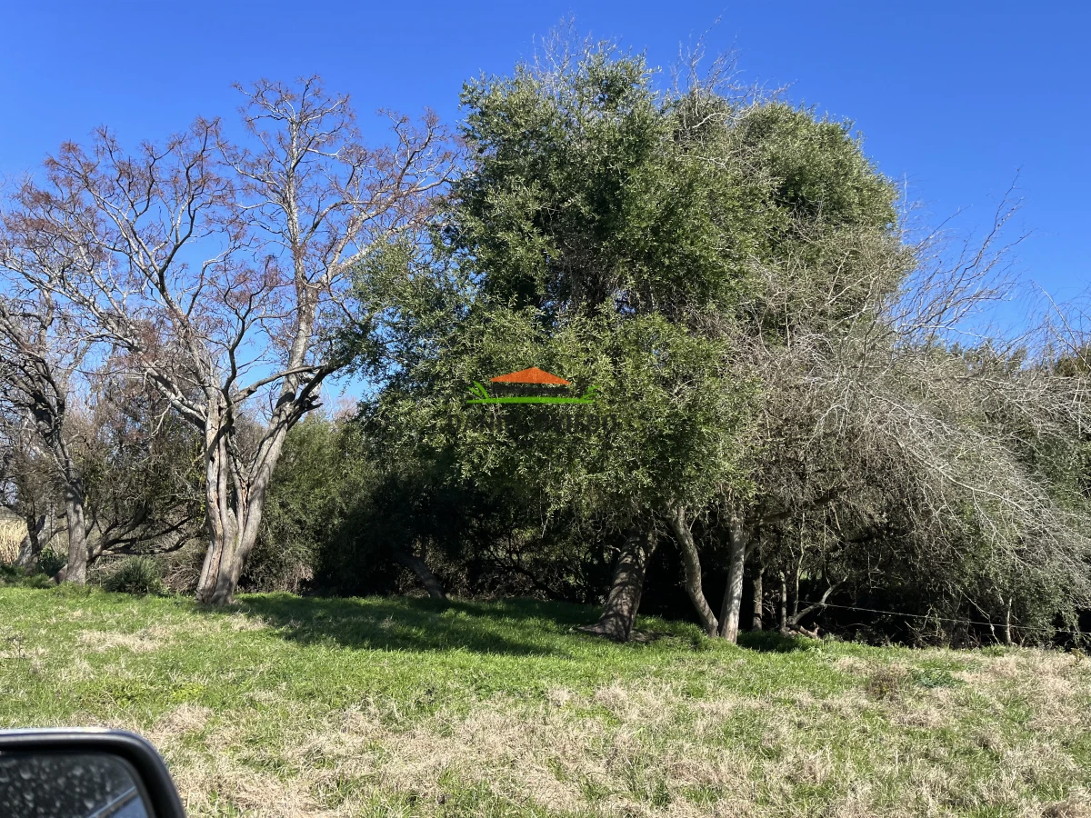 Campo Ref.243/Campo-agrícola-ganadero-en-venta-con-costa-de-arroyo. - Campo agrícola ganadero en venta con costa de arroyo.