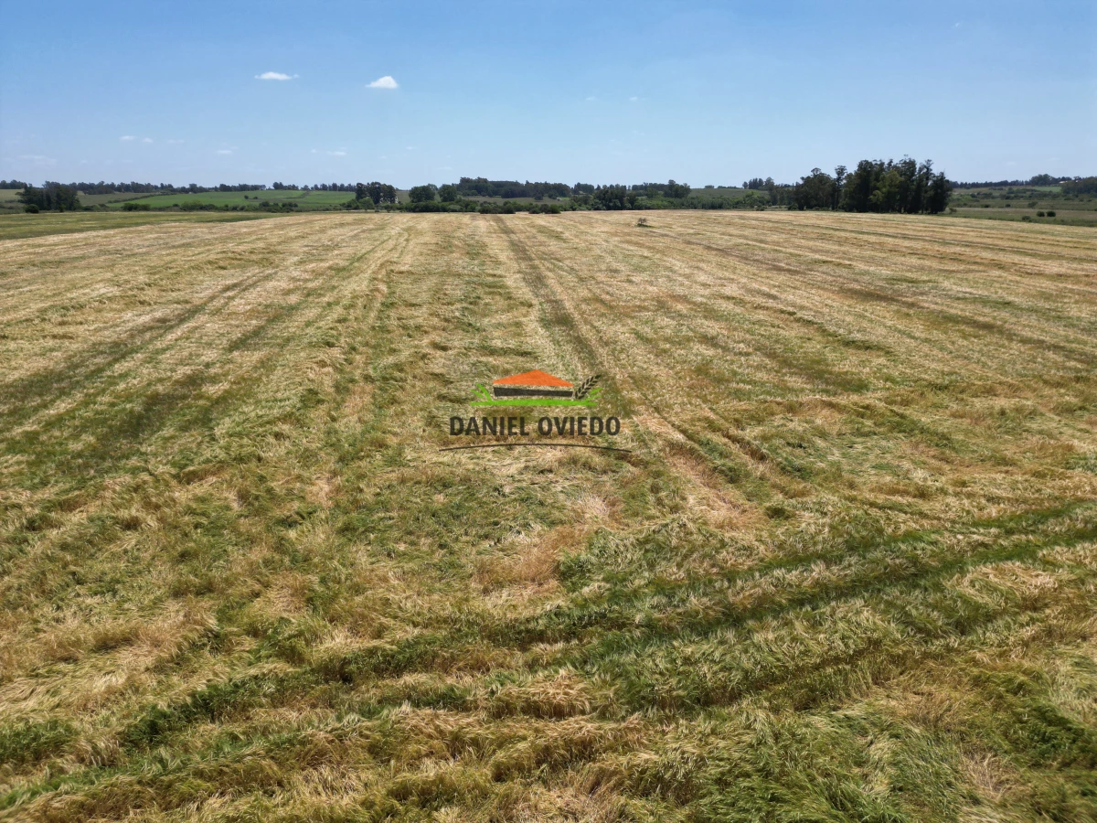 Campo Ref.143/Oportunidad-de-inversi - Oportunidad de inversión, campo agrícola en venta en Canelones.