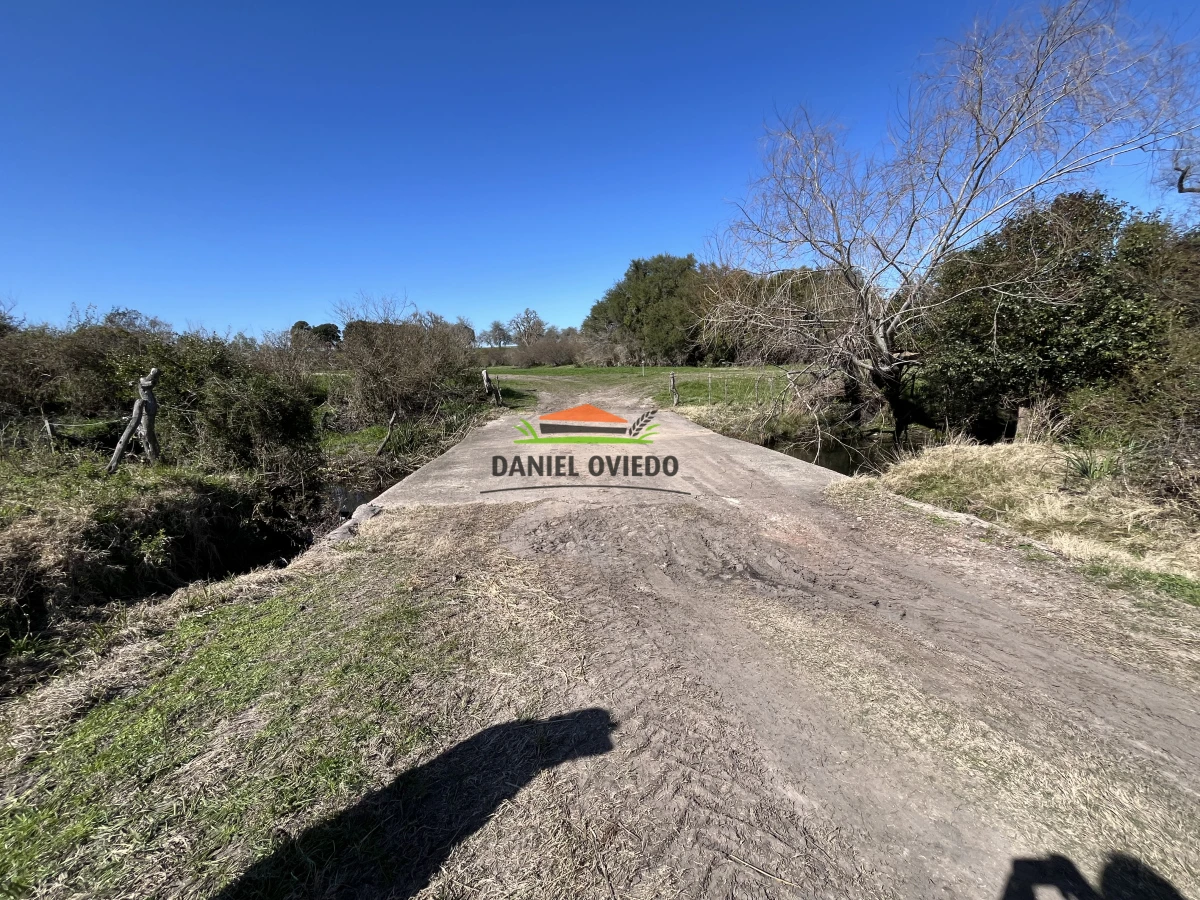 Campo Ref.243/Campo-agrícola-ganadero-en-venta-con-costa-de-arroyo. - Campo agrícola ganadero en venta con costa de arroyo.