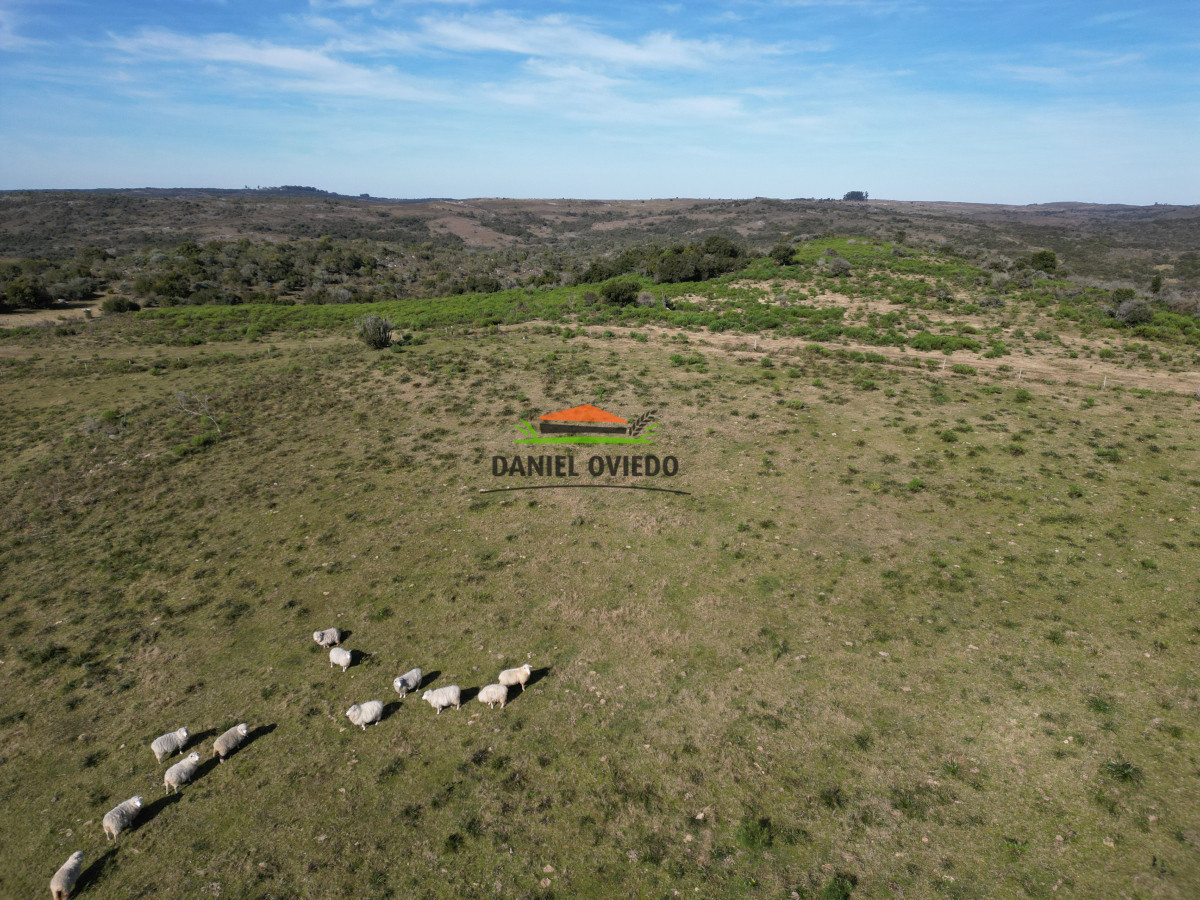Campo Ref.210/Estancia-ganadera-completa-en-venta-de-2.956-has-en-Cerro-Largo. - Estancia ganadera completa en venta de 2.956 has en Cerro Largo.