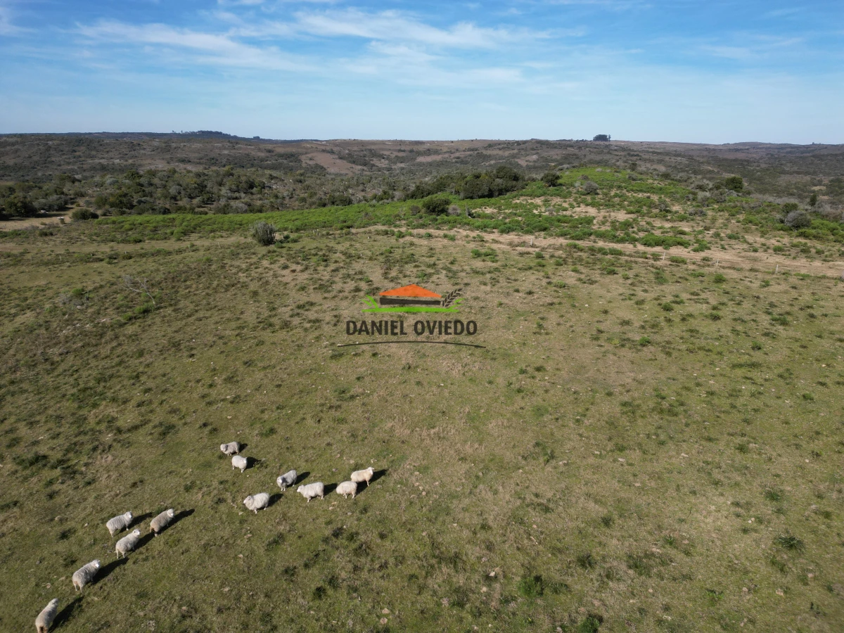 Campo Ref.210/Estancia-ganadera-completa-en-venta-de-2.956-has-en-Cerro-Largo. - Estancia ganadera completa en venta de 2.956 has en Cerro Largo.