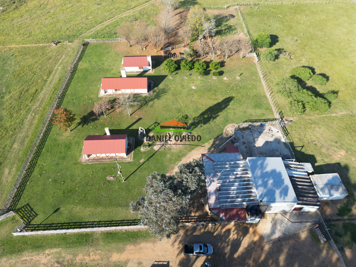 Campo Ref.201/Establecimiento-completo-de-400-h - Establecimiento completo de 400 hás en venta en Flores.