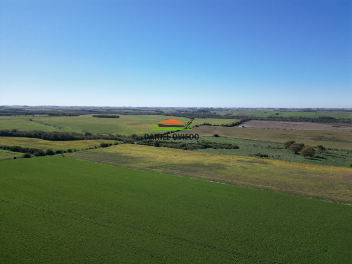 Campo Ref.381/Campo-agr - Campo agrícola en venta en zona de Víboras, Colonia.