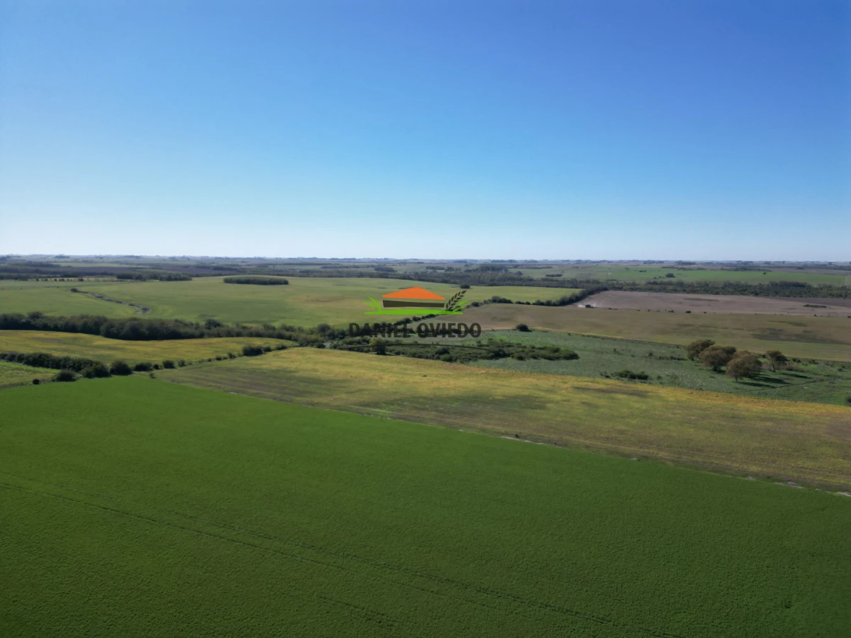 Campo Ref.381/Campo-agr - Campo agrícola en venta en zona de Víboras, Colonia.