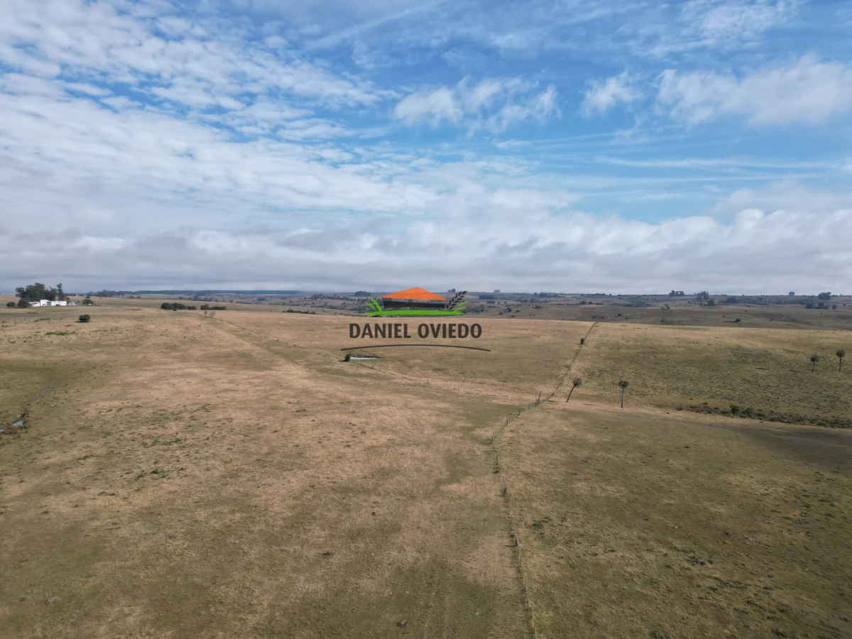 Campo Ref.245/1.350-has-ganaderas-en-arrendamiento-Noreste-de-Cerro-Largo. - 1.350 has ganaderas en arrendamiento Noreste de Cerro Largo.