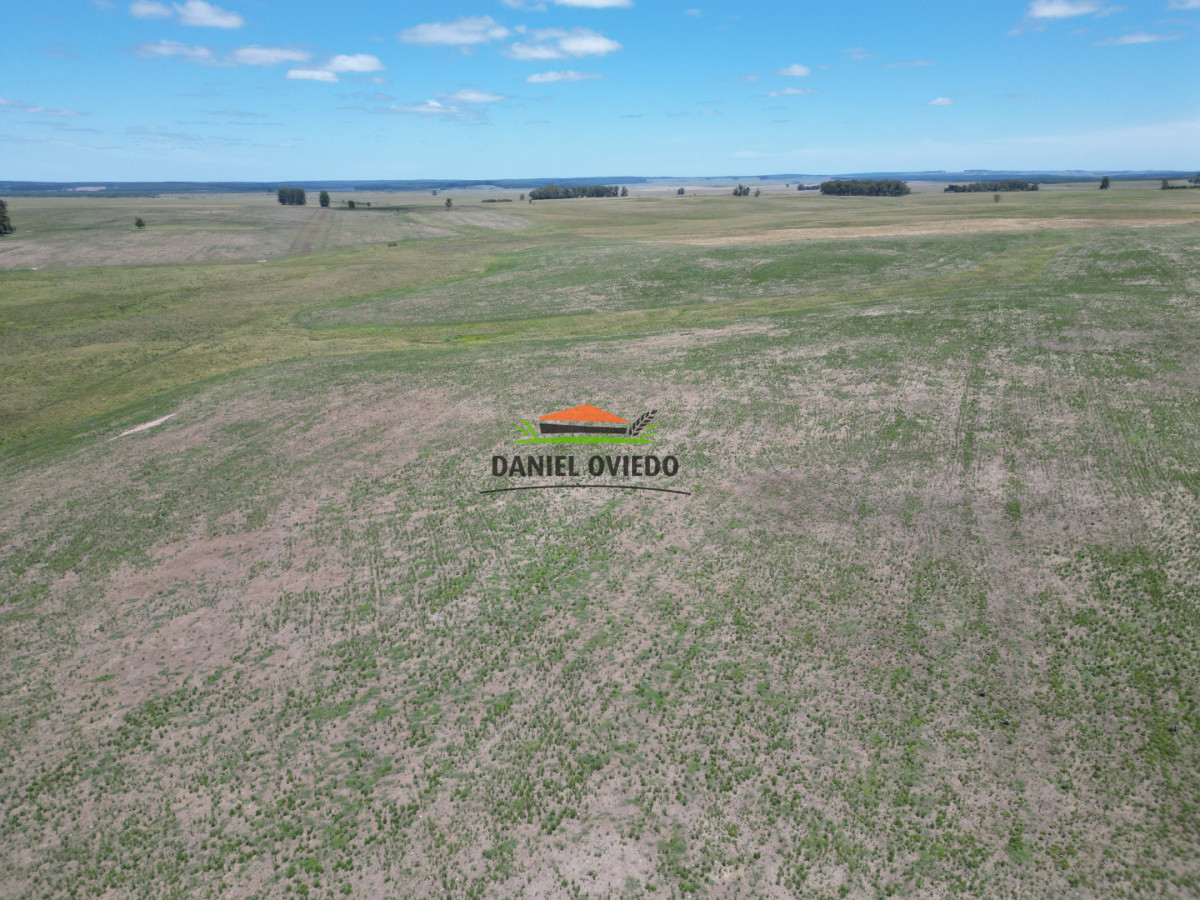 Campo Ref.359/Estancia-de-945-has-en-venta-en-Cerro-Largo. - Estancia de 945 has en venta en Cerro Largo.