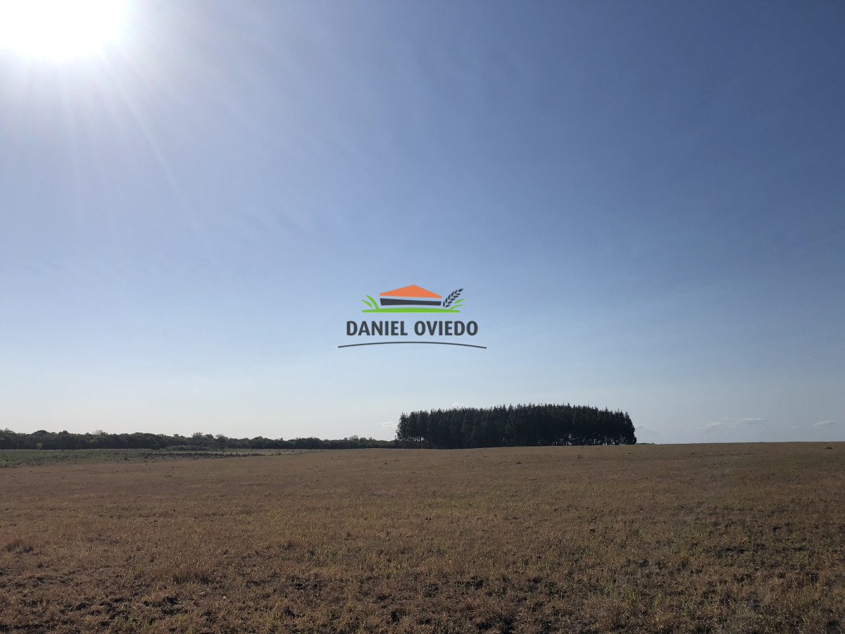 Campo Ref.13 - Campo de 270 hás en venta con alto potencial agrícola, Río Negro.