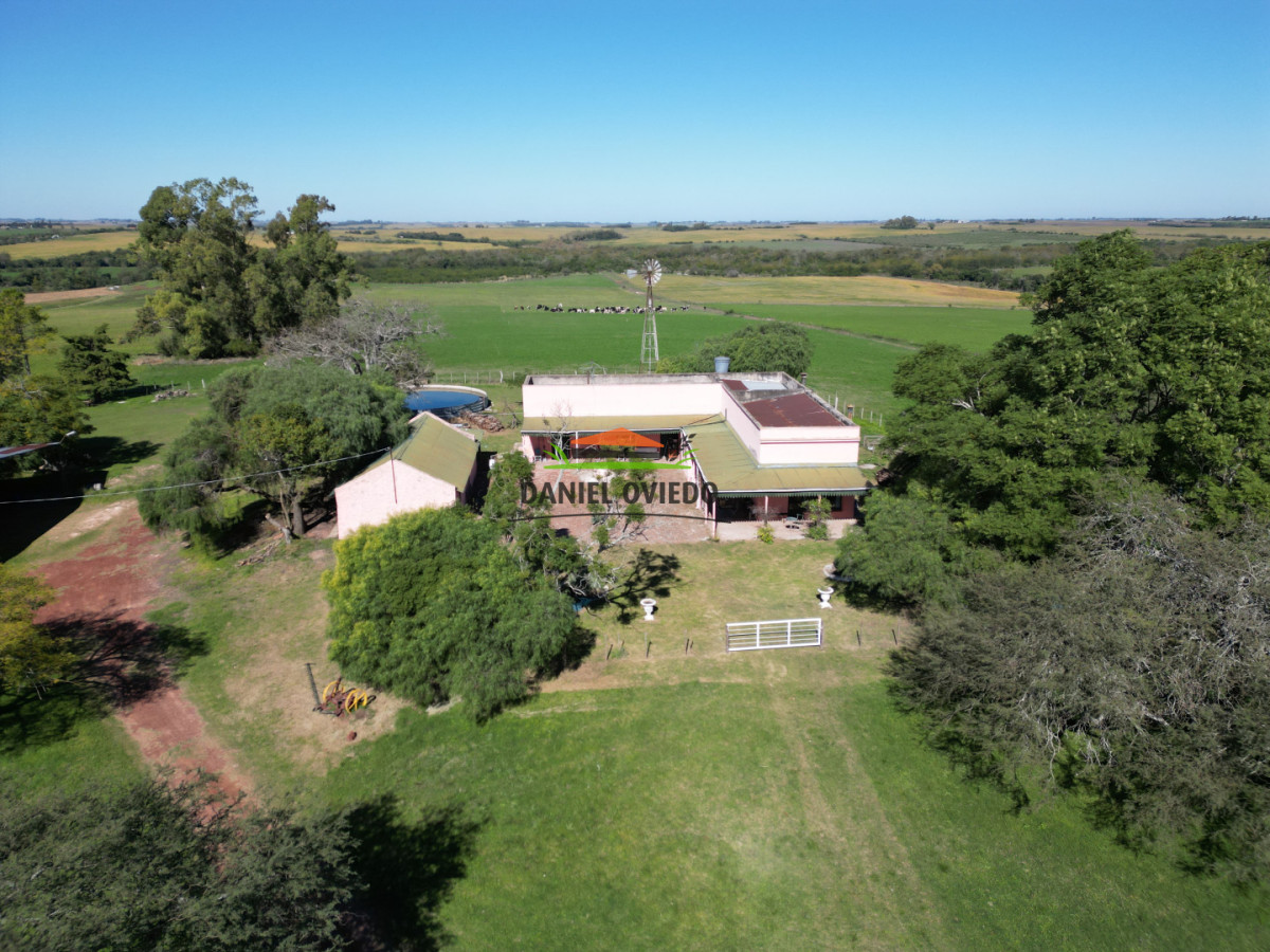 Campo Ref.381/Campo-agr - Campo agrícola en venta en zona de Víboras, Colonia.
