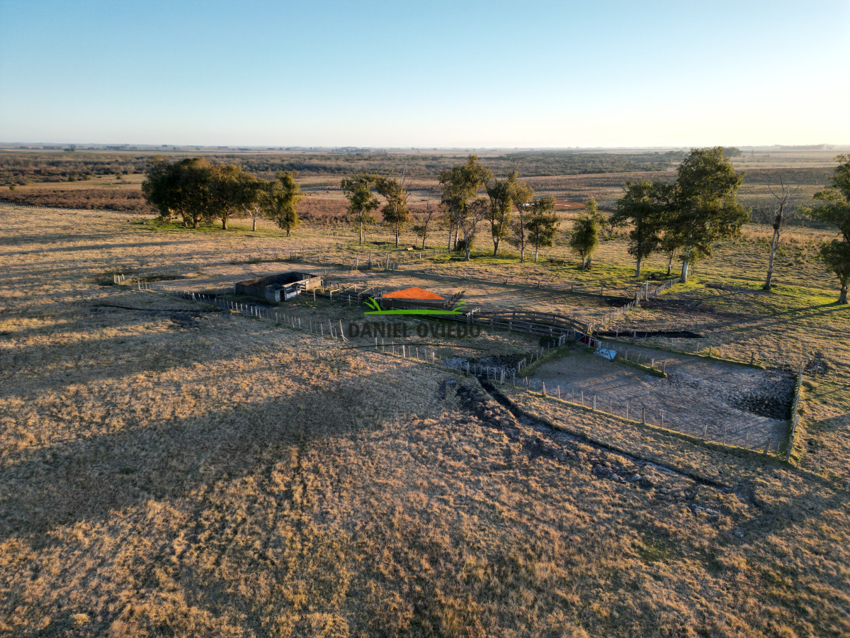 Campo Ref.223/Establecimiento-de-760-hás-en-venta-en-Cerro-Largo. - Establecimiento de 760 hás en venta en Cerro Largo.