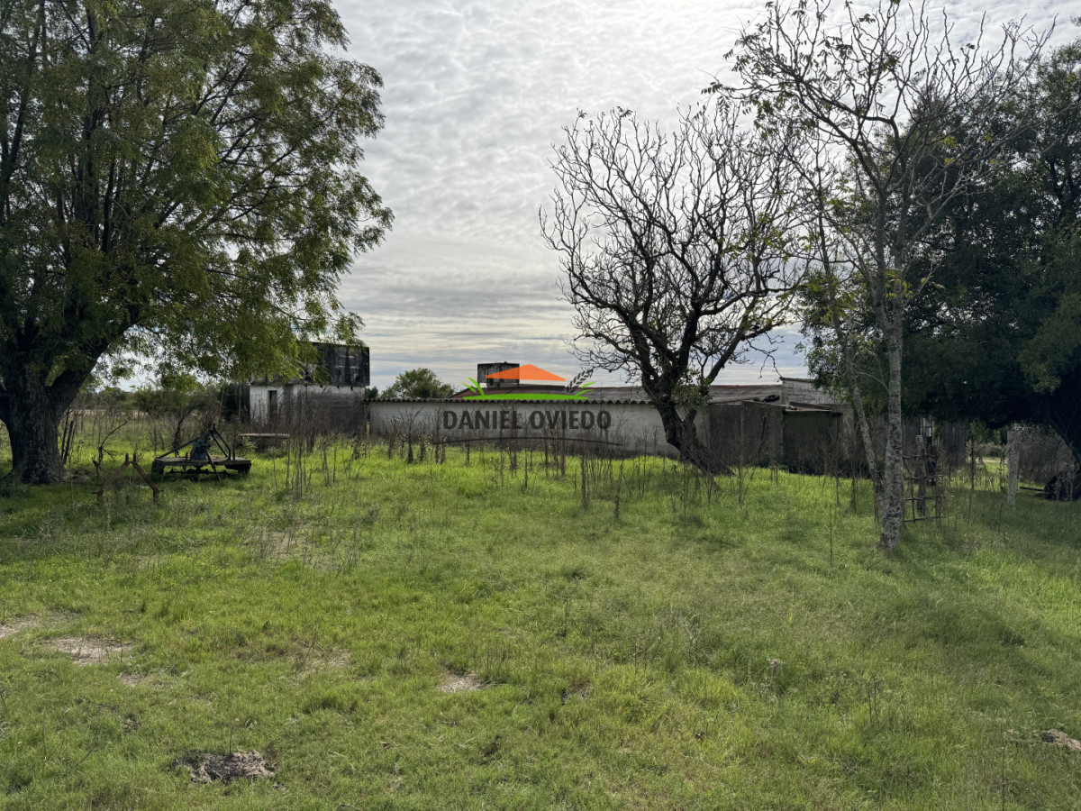 Campo Ref.377/Establecimiento-con-f - Establecimiento con fábrica y 33 Hás de campo - Instalaciones y equipamiento incluidos | Colonia