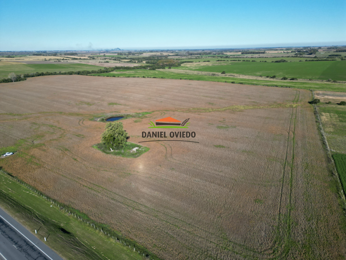 Campo Ref.383/22-Hect - 22 Hectáreas Agrícolas sobre Ruta 1 | Excelente Ubicación y Muy Buenos Suelos