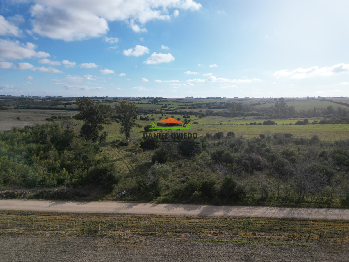 Campo Ref.208 - Campo agrícola ganadero de 20,95 has en Miguelete de Campana.
