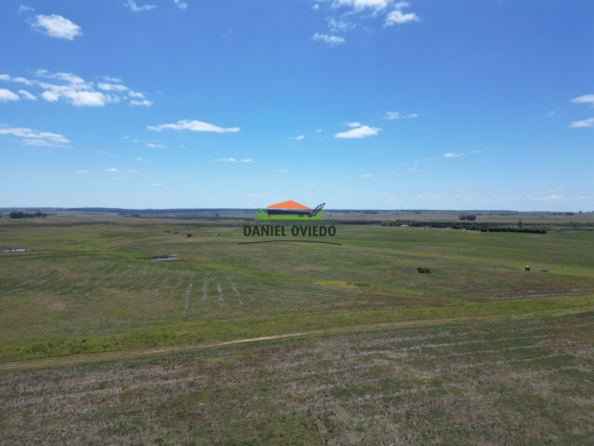 Campo Ref.359/Estancia-de-945-has-en-venta-en-Cerro-Largo. - Estancia de 945 has en venta en Cerro Largo.