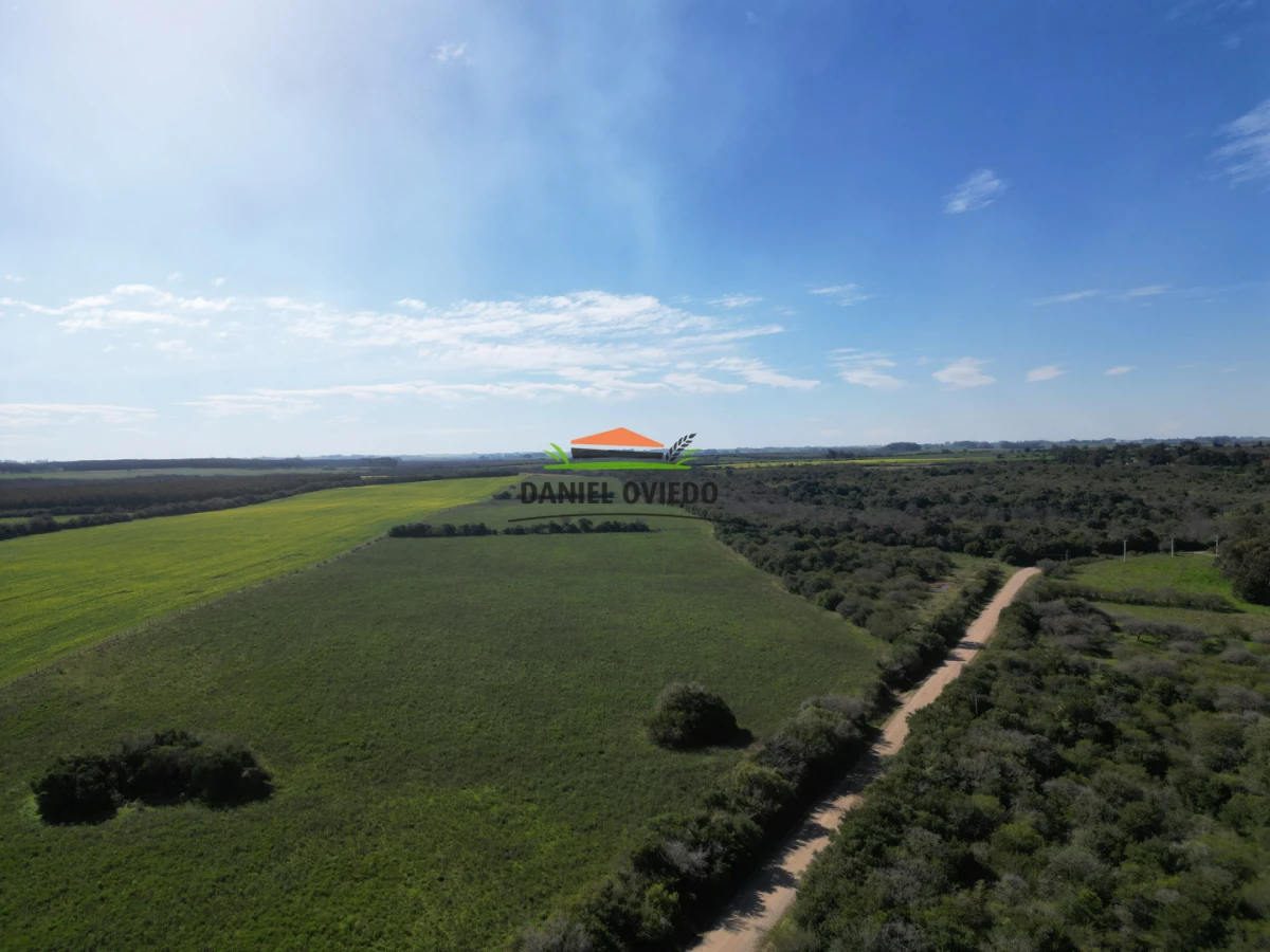 Campo Ref.414/ - ¡Nueva oportunidad rural proxima a Conchillas!