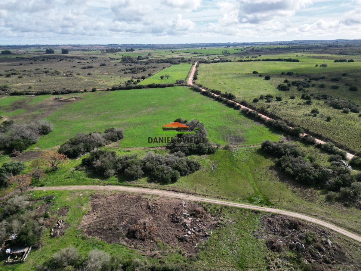 Campo Ref.249/Buen-campo-ganadero-en-venta-ideal-para-engorde. - Buen campo ganadero en venta ideal para engorde.