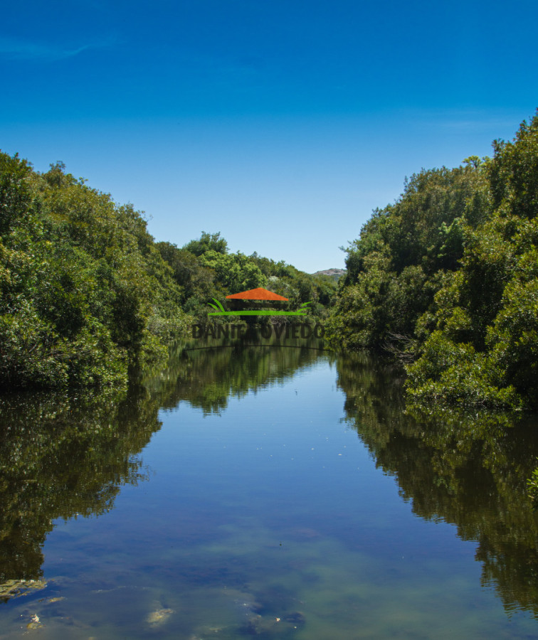 Campo Ref.327/Campo-con-Olivos-de-320-has-en-venta-en-Maldonado. - Campo con Olivos de 320 has en venta en Maldonado.