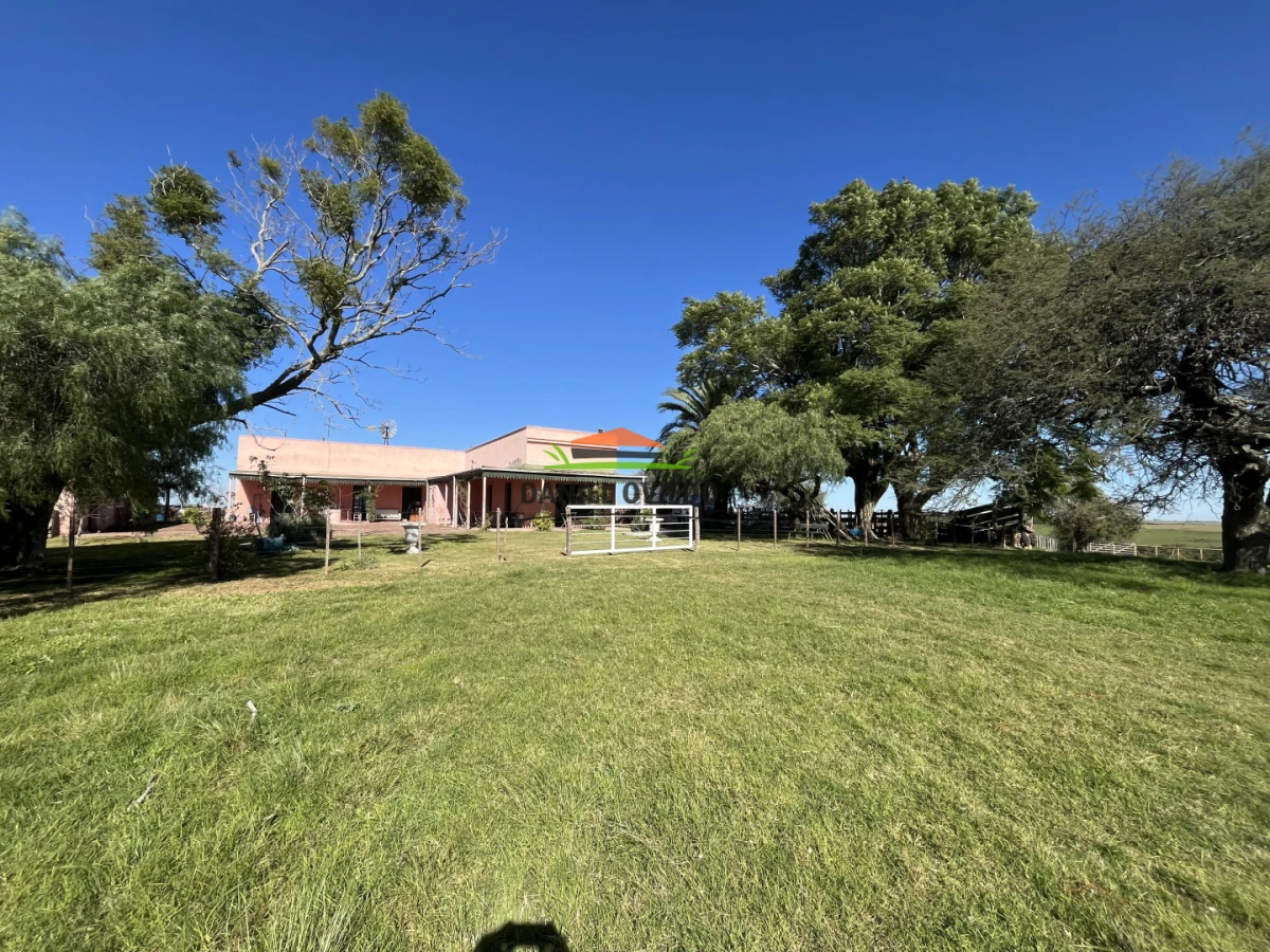 Campo Ref.381/Campo-agr - Campo agrícola en venta en zona de Víboras, Colonia.