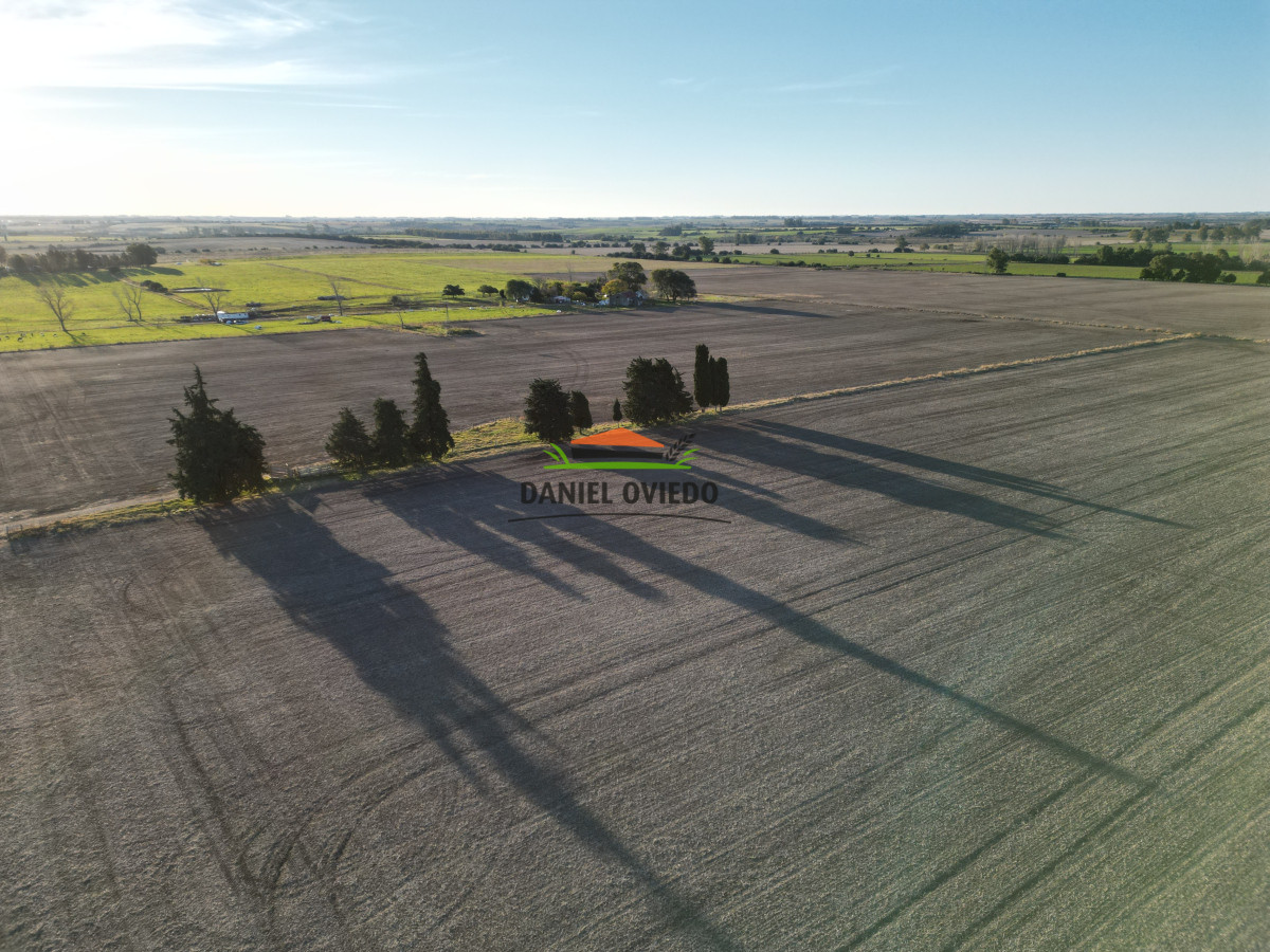Campo Ref.209 - Excepcional ubicación en ruta 1 y campo productivo donde nadie vende.