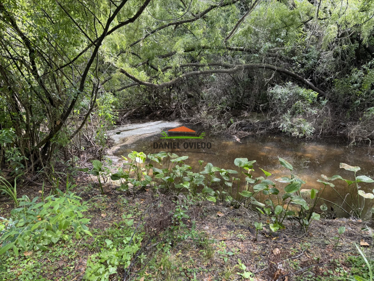 Campo Ref.336/Campo-agr - Campo agrícola de 18,9 hás con renta anual - Nueva Helvecia