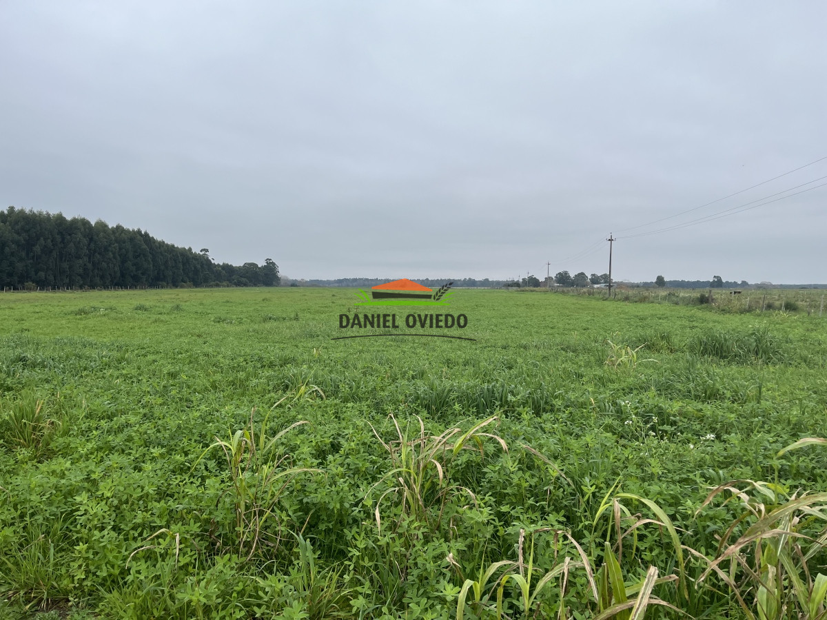 Campo Ref.10 - 20 hás en venta próximo a Colonia Delta, San José.