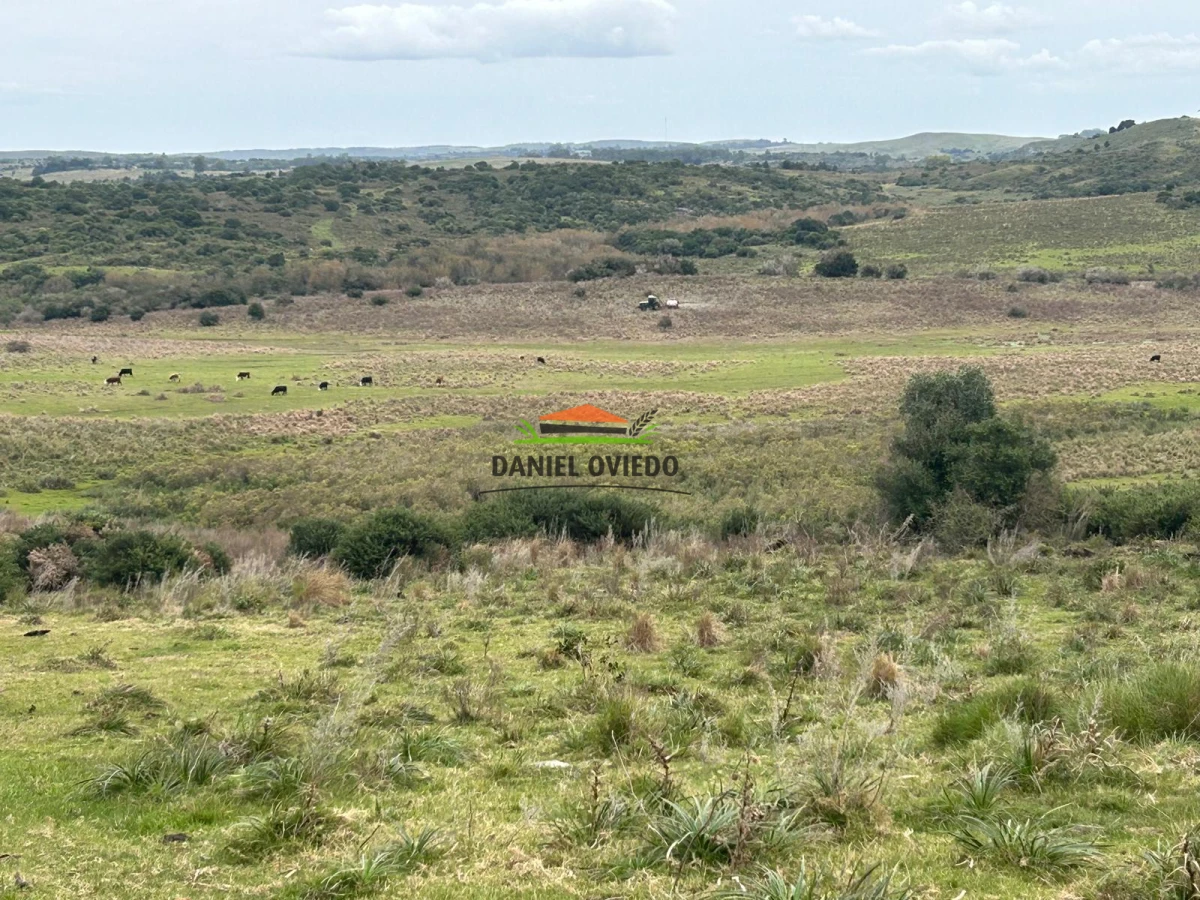 Campo Ref.210/Estancia-ganadera-completa-en-venta-de-2.956-has-en-Cerro-Largo. - Estancia ganadera completa en venta de 2.956 has en Cerro Largo.