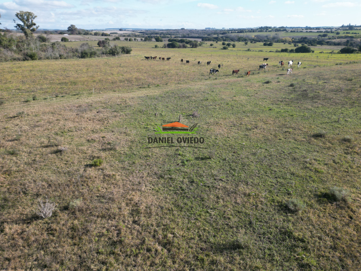 Campo Ref.208 - Campo agrícola ganadero de 20,95 has en Miguelete de Campana.