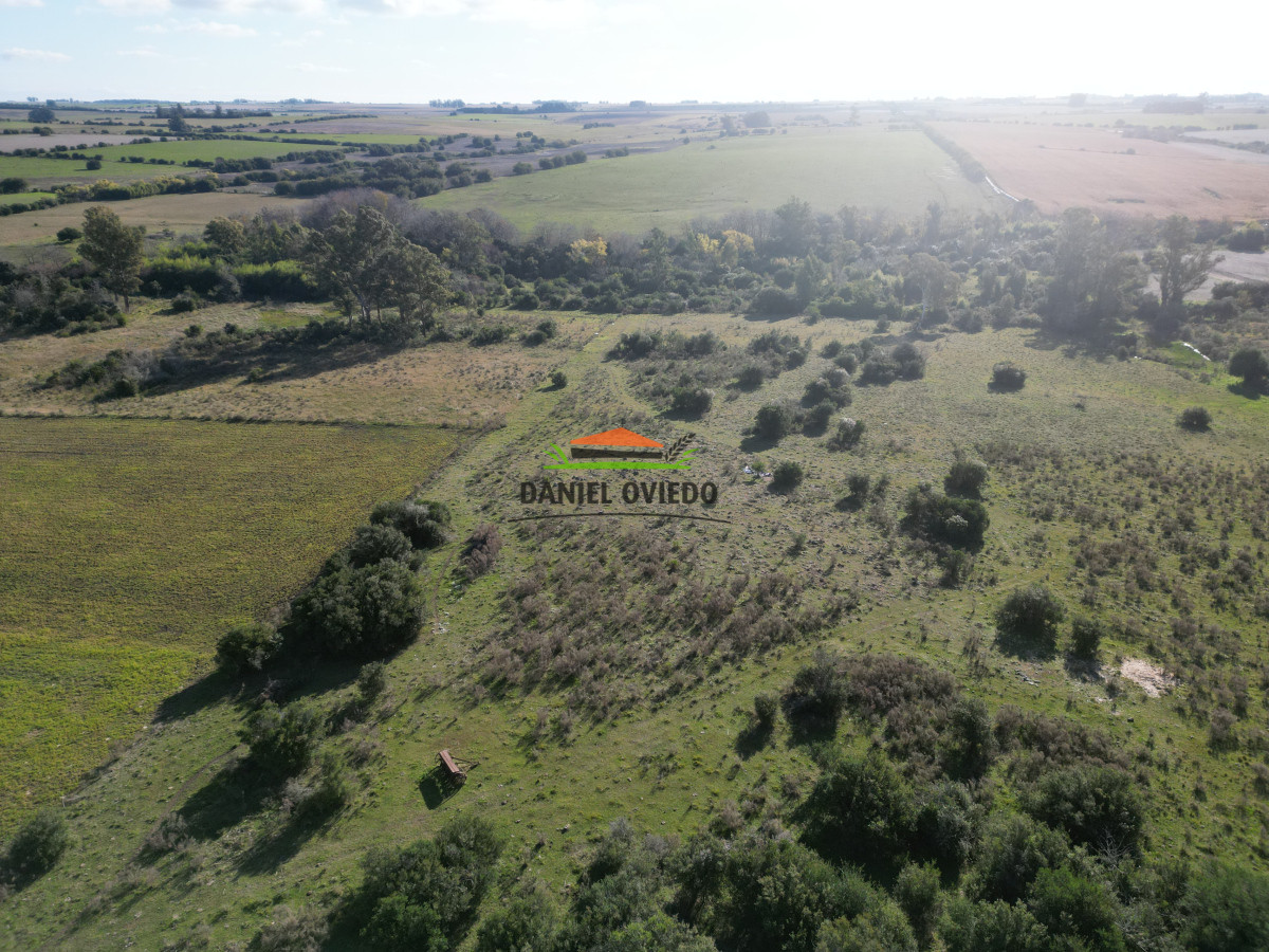 Campo Ref.208 - Campo agrícola ganadero de 20,95 has en Miguelete de Campana.