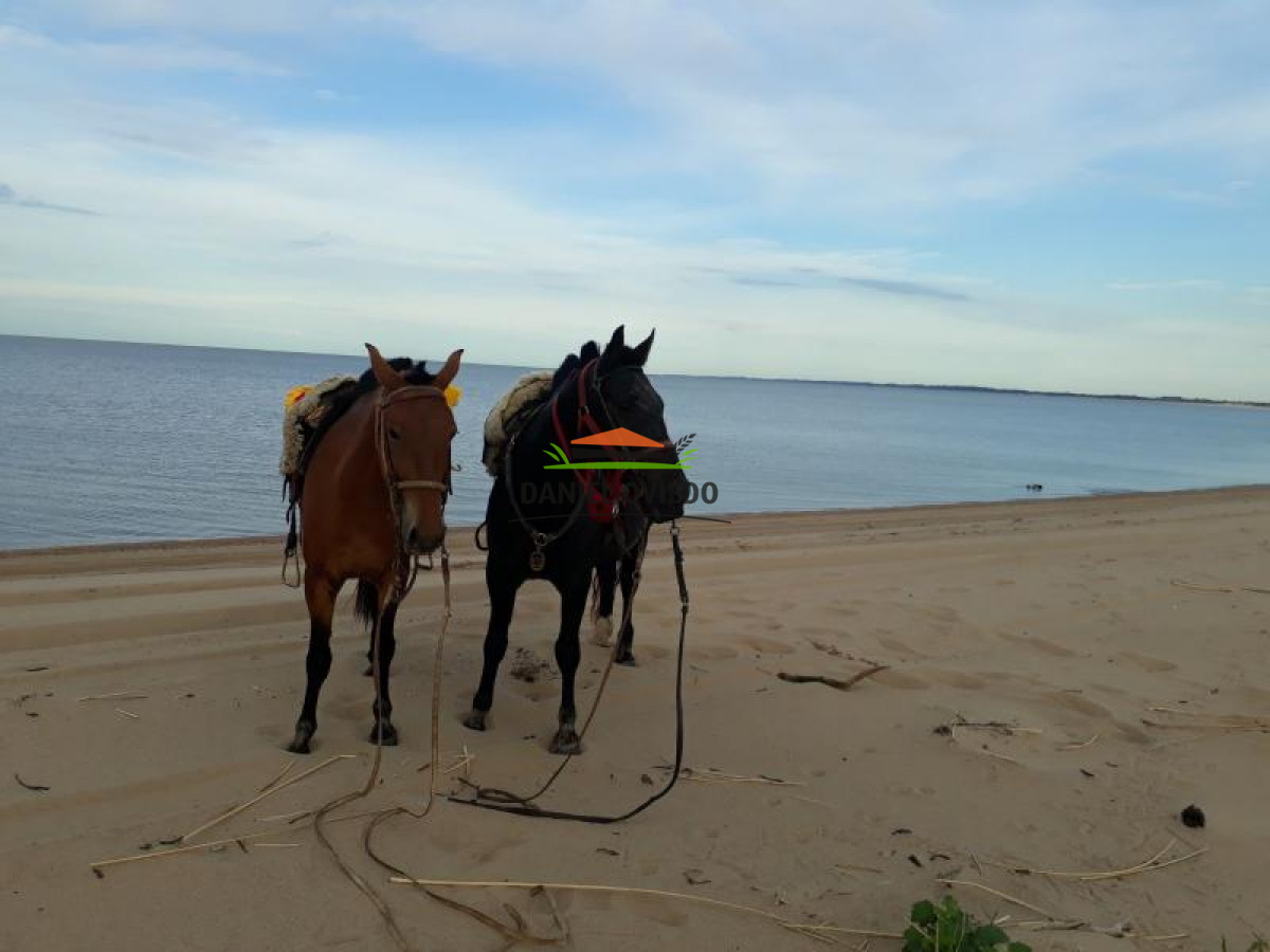 Campo Ref.117 - 1.000 metros de costa al río de la Plata con increíbles playas en venta.