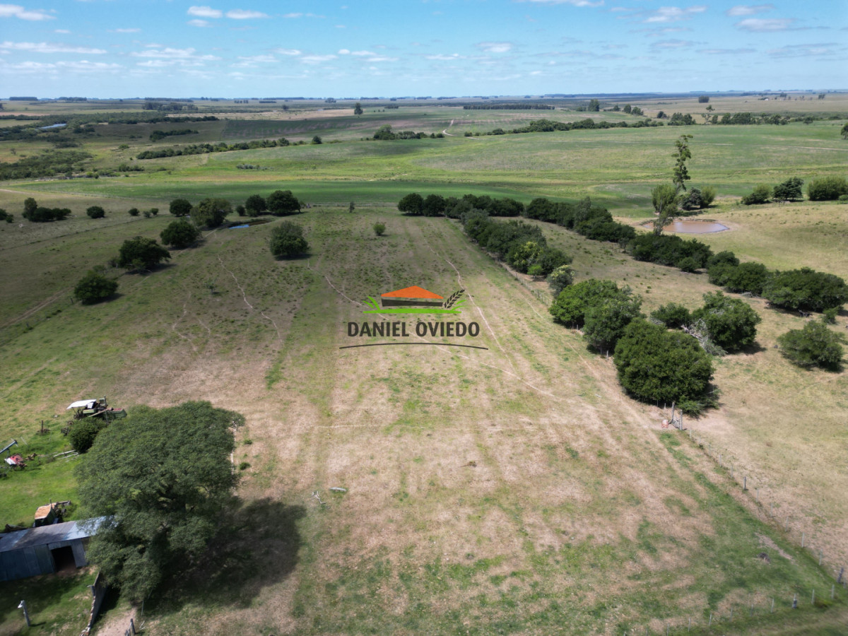 Campo Ref.359/Estancia-de-945-has-en-venta-en-Cerro-Largo. - Estancia de 945 has en venta en Cerro Largo.