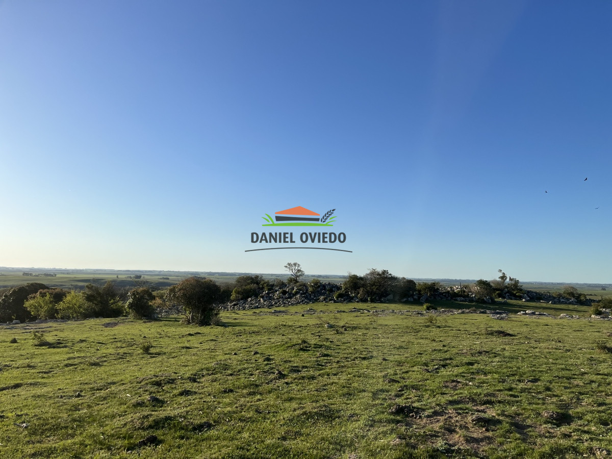 Campo Ref.52 - 374 hás ganaderas forestales en venta con mejoras y costa de arroyo.