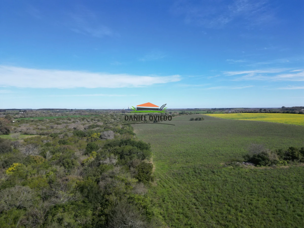 Campo Ref.414/ - ¡Nueva oportunidad rural proxima a Conchillas!