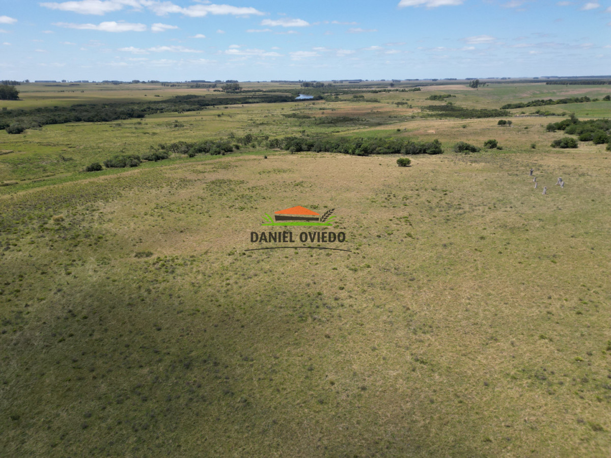 Campo Ref.359/Estancia-de-945-has-en-venta-en-Cerro-Largo. - Estancia de 945 has en venta en Cerro Largo.