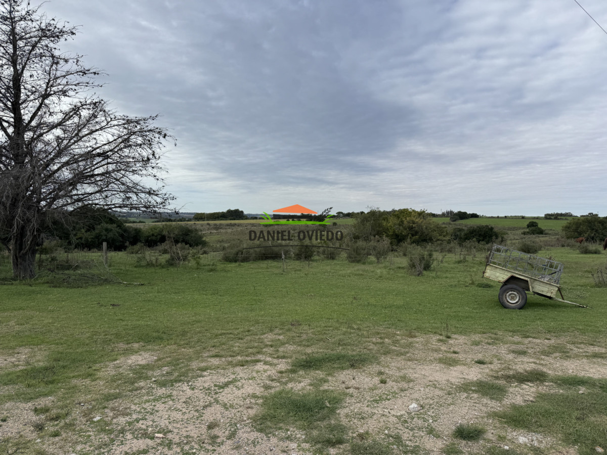 Campo Ref.377/Establecimiento-con-f - Establecimiento con fábrica y 33 Hás de campo - Instalaciones y equipamiento incluidos | Colonia
