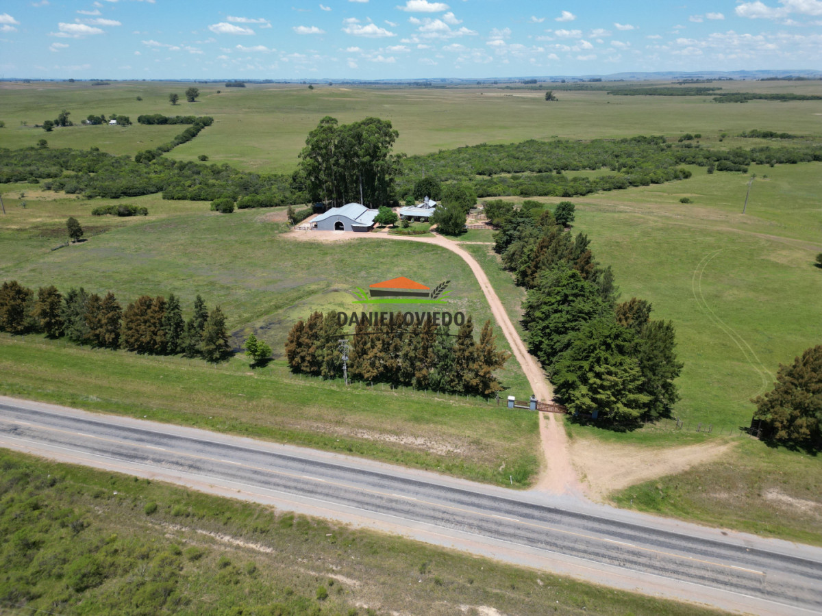 Campo Ref.357/Muy-buen-establecimiento-completo-en-venta-en-ruta-26-proximo-a-Melo. - Muy buen establecimiento completo en venta en ruta 26 proximo a Melo.