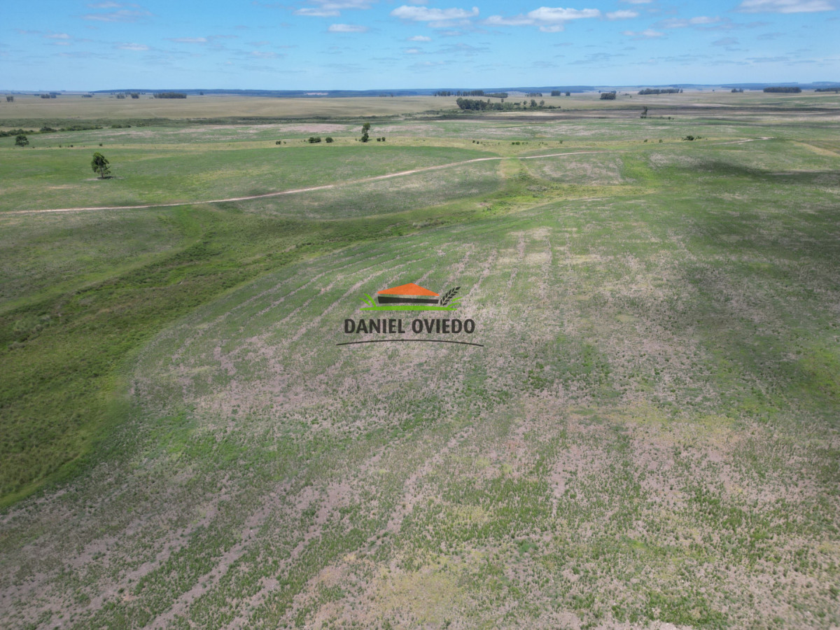Campo Ref.359/Estancia-de-945-has-en-venta-en-Cerro-Largo. - Estancia de 945 has en venta en Cerro Largo.